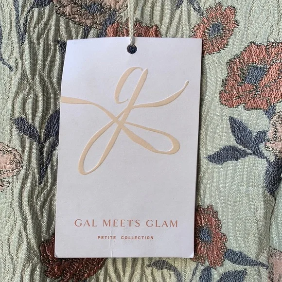 Gal Meets Glam Sz 6P fit n’ flare silver embossed floral dress pink NEW formal - Picture 9 of 17